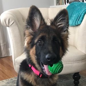 Meet your Posher, Elizabeth